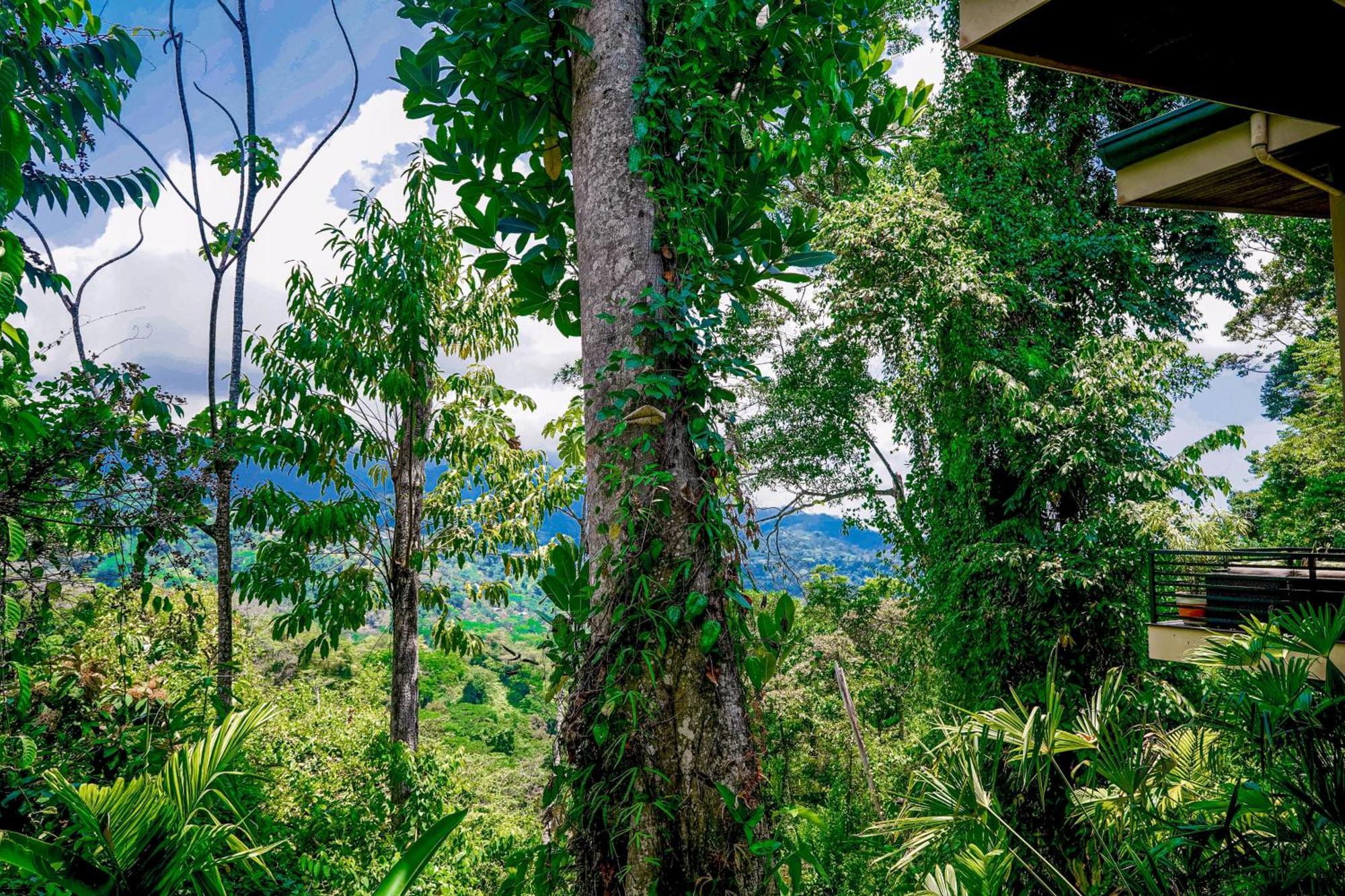 Casa Vista Verde Uvita Dış mekan fotoğraf