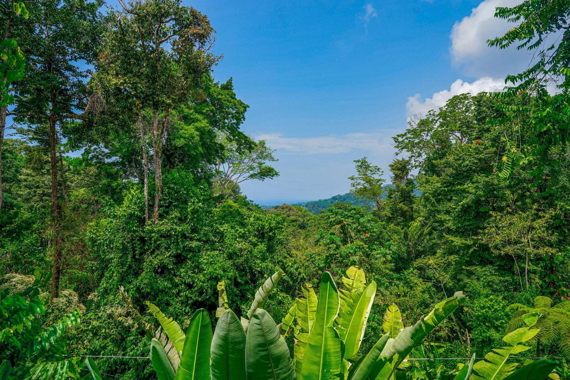 Casa Vista Verde Uvita Dış mekan fotoğraf